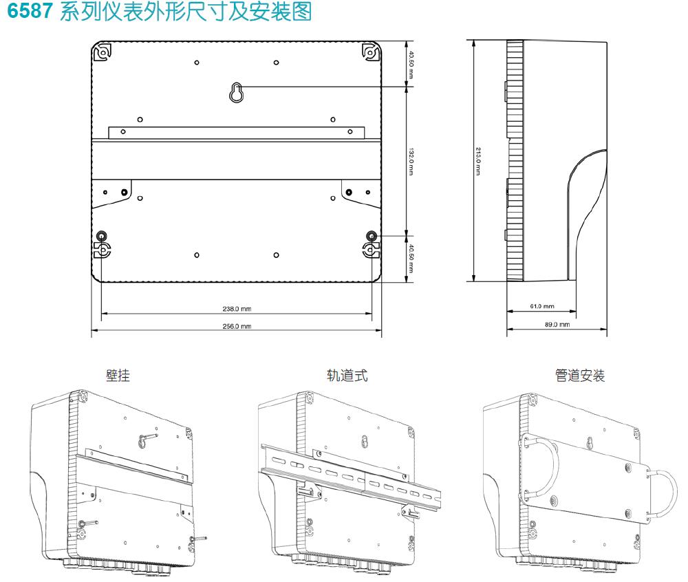 匹磁在線溶解氧測定儀BC6587